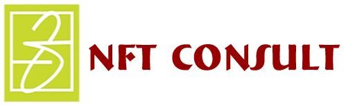 NFT Consult